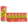 Schweppes Agrum 33cl – Pack de 24