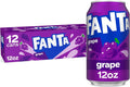 Fanta US Raisin 35cl – Pack de 12