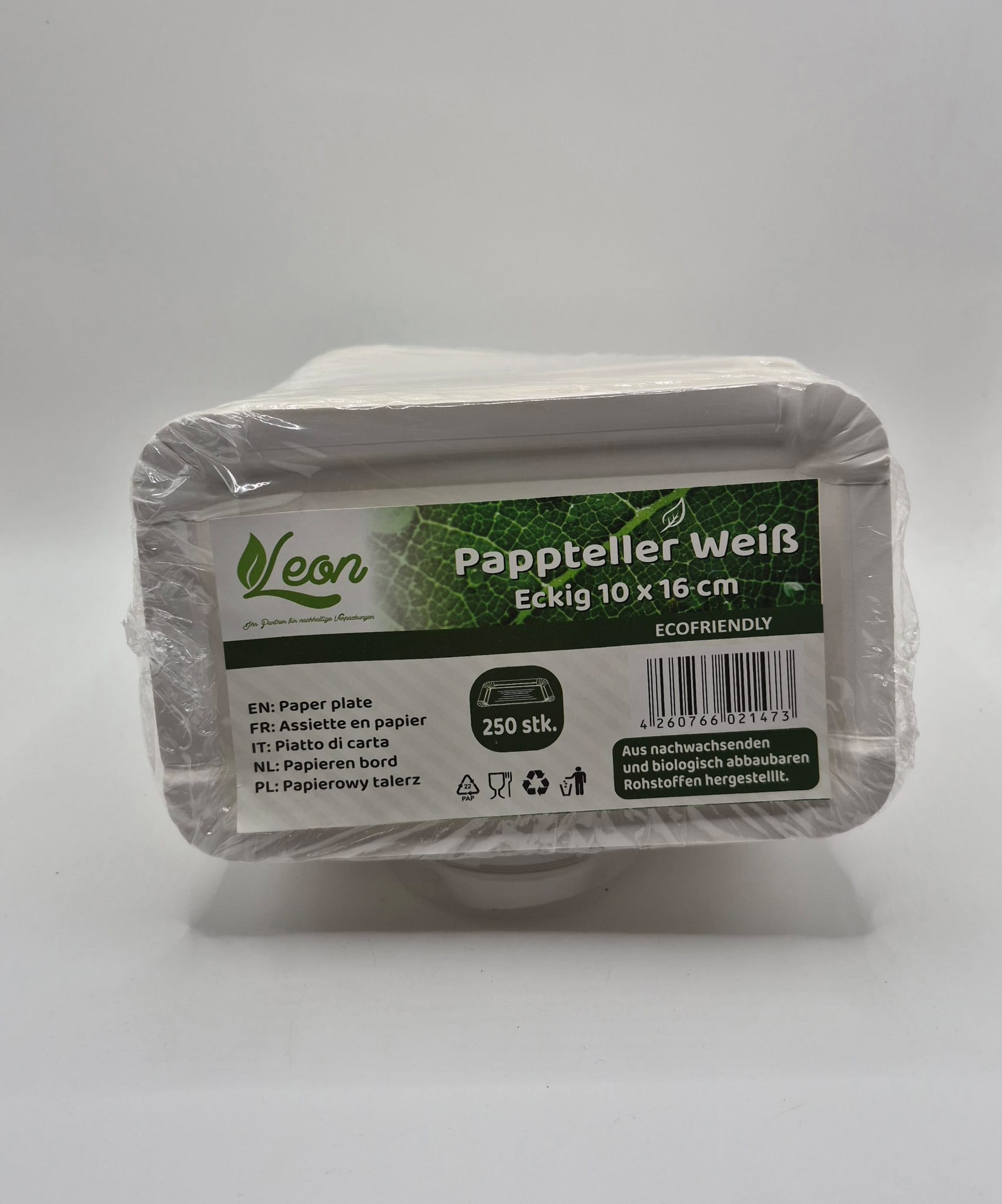 Assiettes rectangulaires en carton 13 x 20 cm (x250)