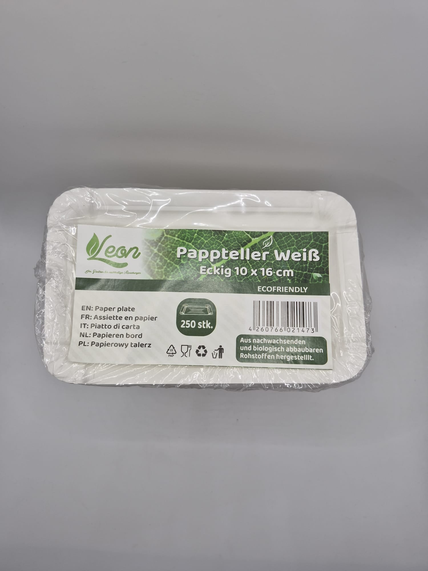 Assiettes rectangulaires en carton 10 x 16 cm (x250)