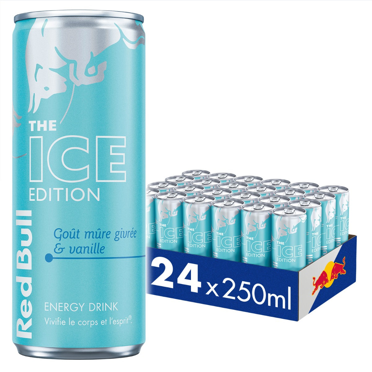 Red Bull Saveurs Vanille Mûres Givrée 25cl – Pack de 24